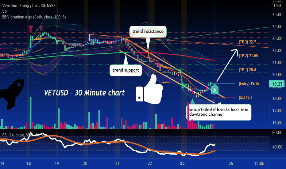 VET Stock Price and Chart — NYSEVET — TradingView