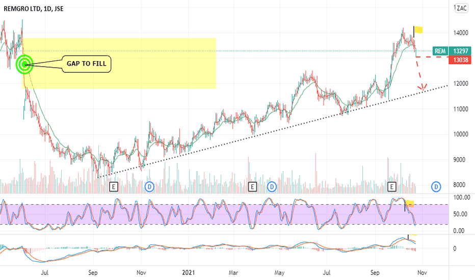 REM Stock Price and Chart — JSEREM — TradingView