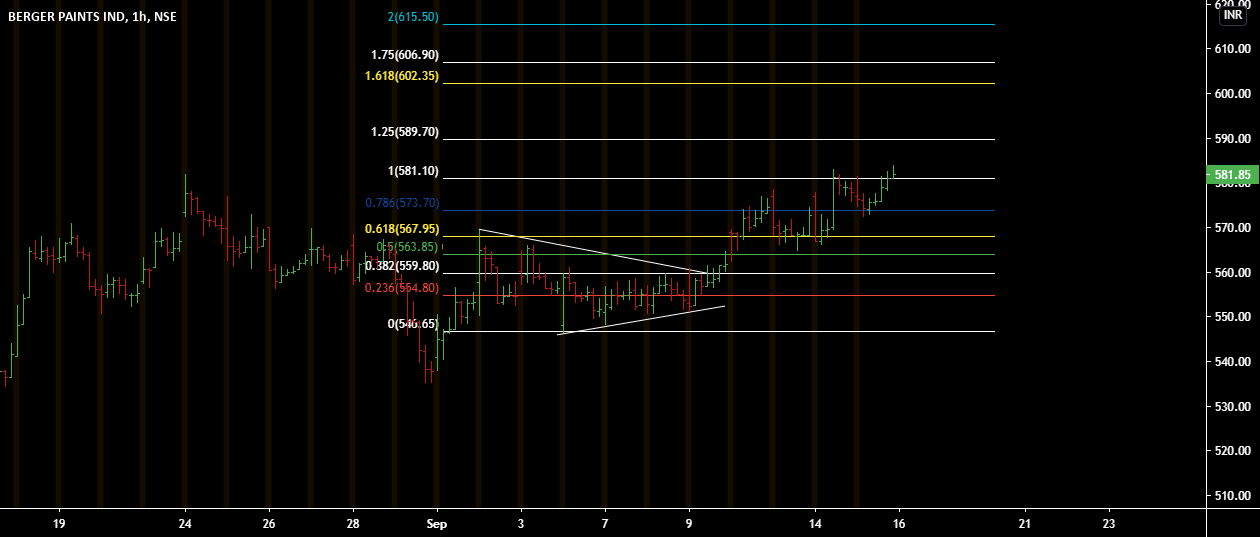 Berger Paint for NSEBERGEPAINT by Dev9939 — TradingView India