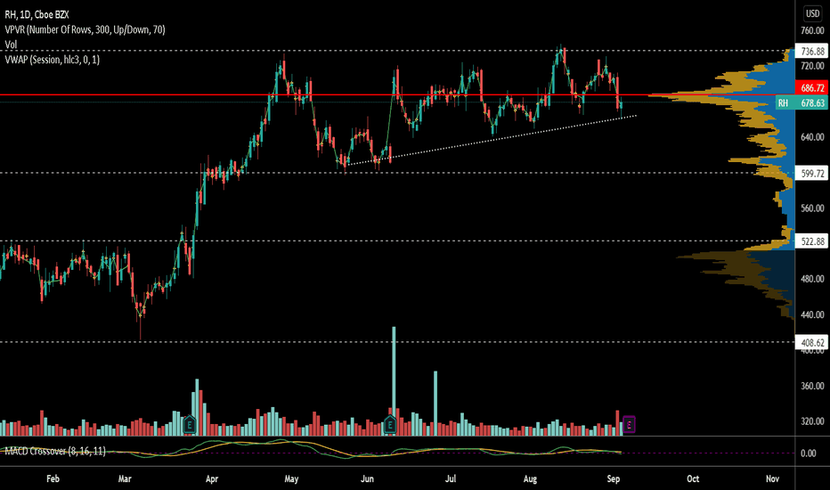 RH Stock Price and Chart — NYSERH — TradingView