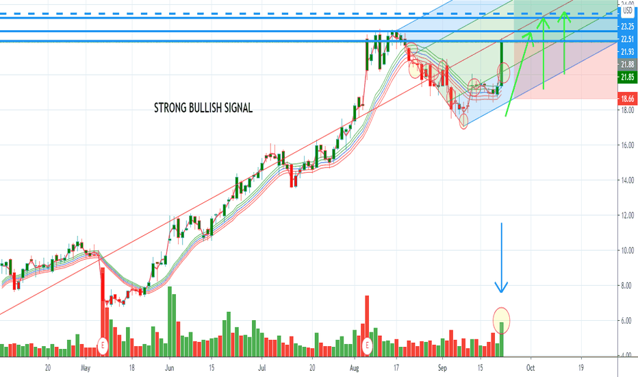 VSTO Stock Price and Chart — NYSEVSTO — TradingView