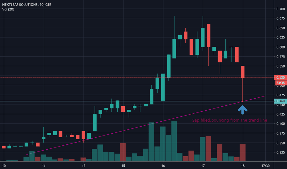 OILS Stock Price and Chart — CSEOILS — TradingView