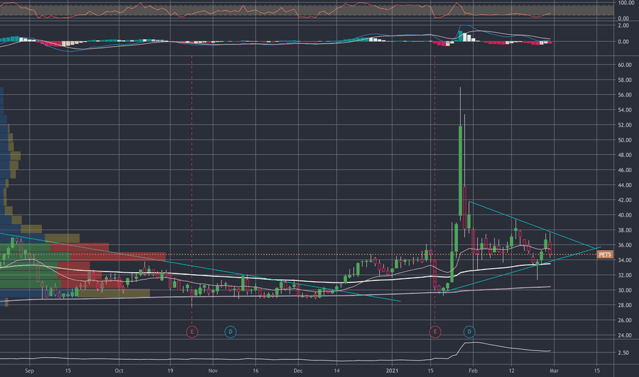 PETS Stock Price and Chart — NASDAQPETS — TradingView