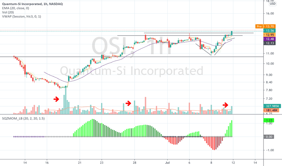 Tenser Personal site Stills Gallery