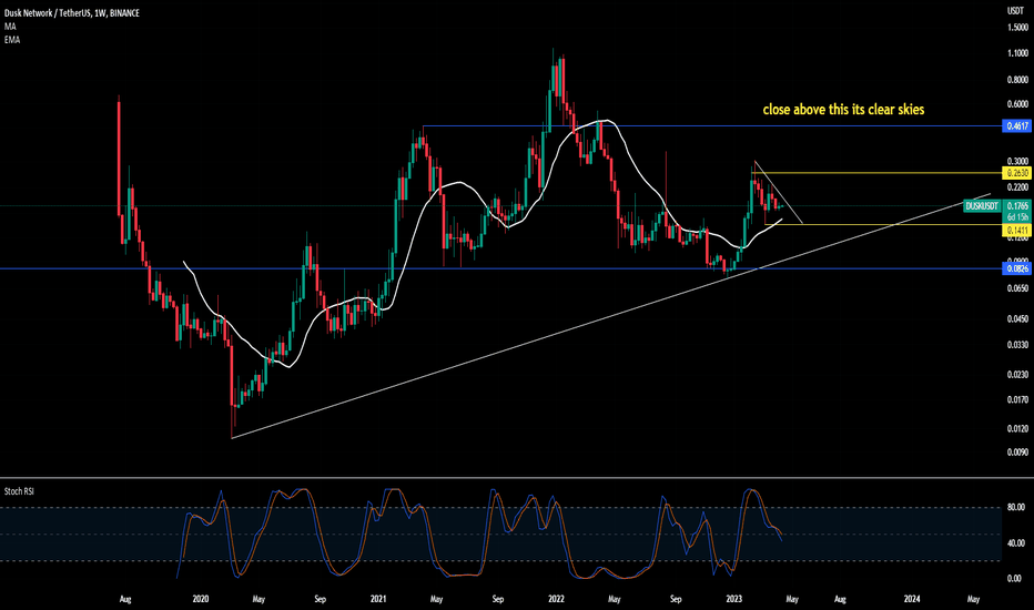 Dusk Network / TetherUS Trade Ideas — BINANCEDUSKUSDT — TradingView
