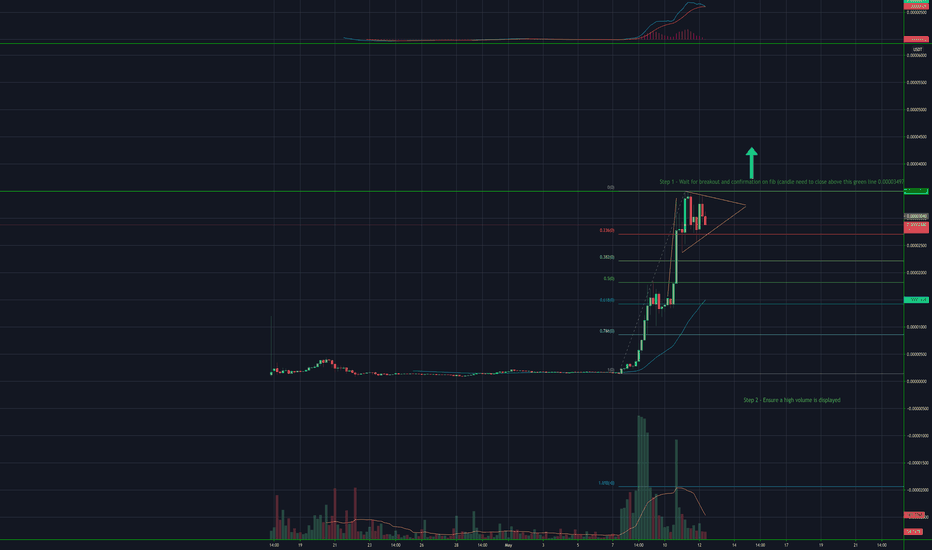 Shiba Inu Price SHIB Price Index and Live Chart CoinDesk