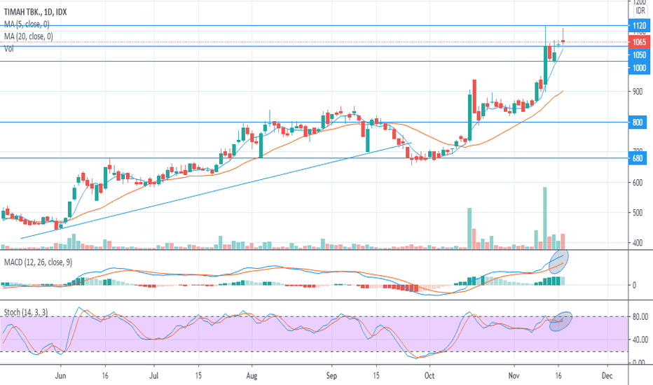 TINS Stock Price and Chart — IDXTINS — TradingView