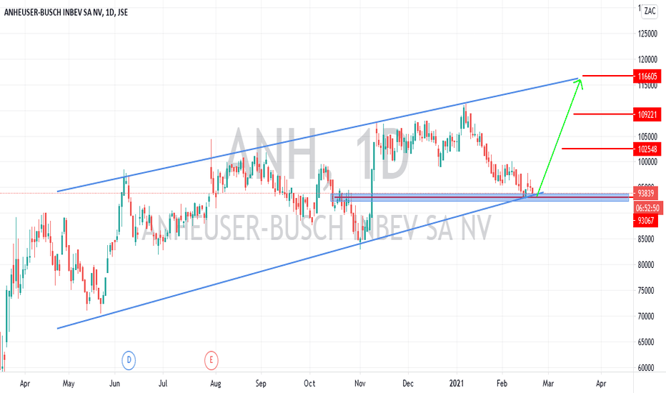 ANH Stock Price and Chart — JSEANH — TradingView