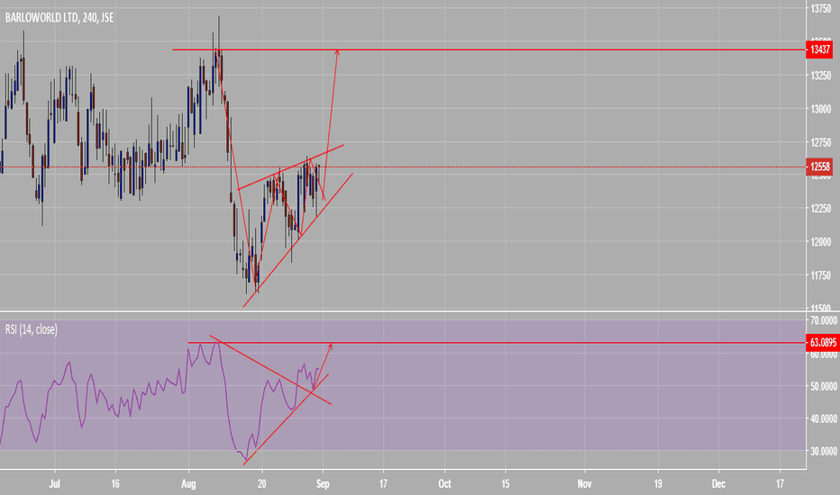 BAW Stock Price and Chart — JSEBAW — TradingView