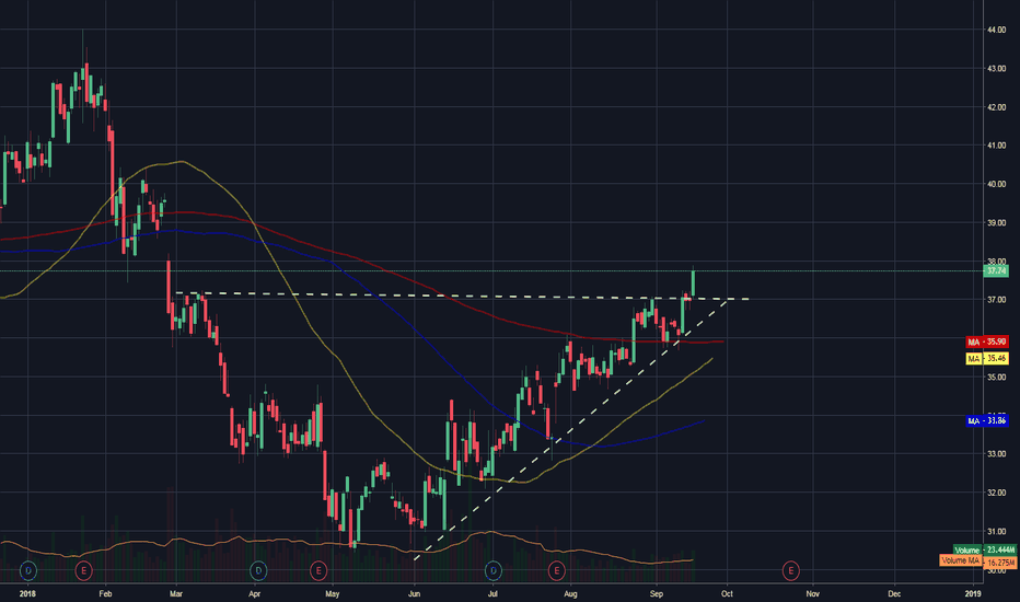 TWTR Stock Price — Twitter Chart — TradingView