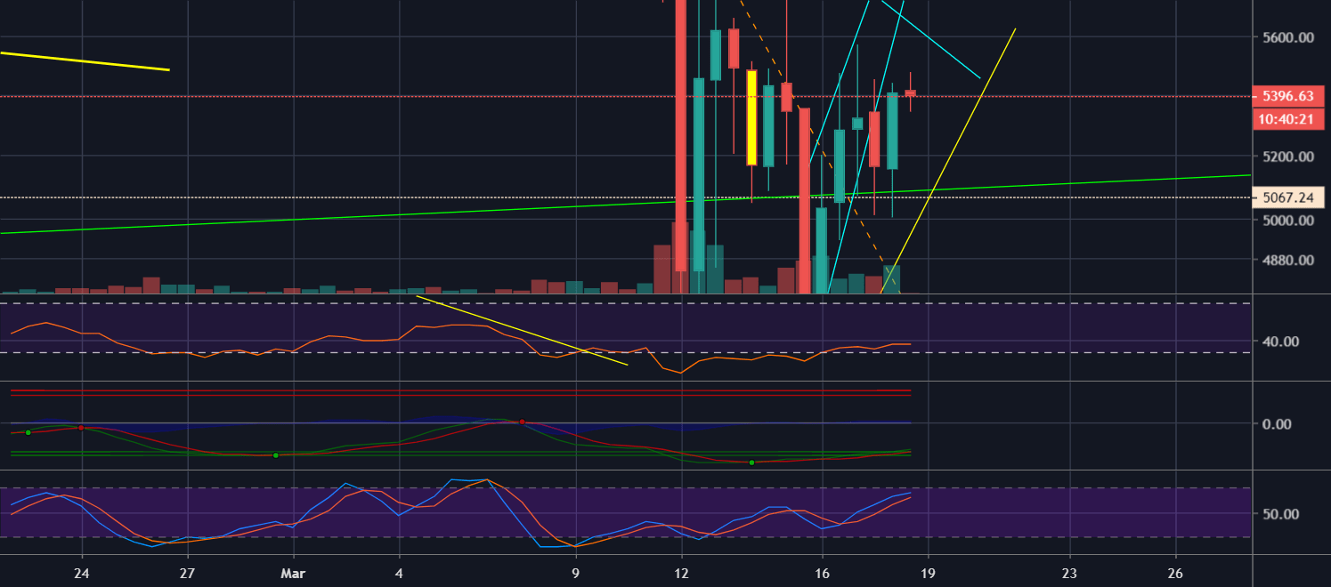 BTC (Up/doji/Down) (Up/doji/Down) for BITSTAMPBTCUSD by AdamGabriel