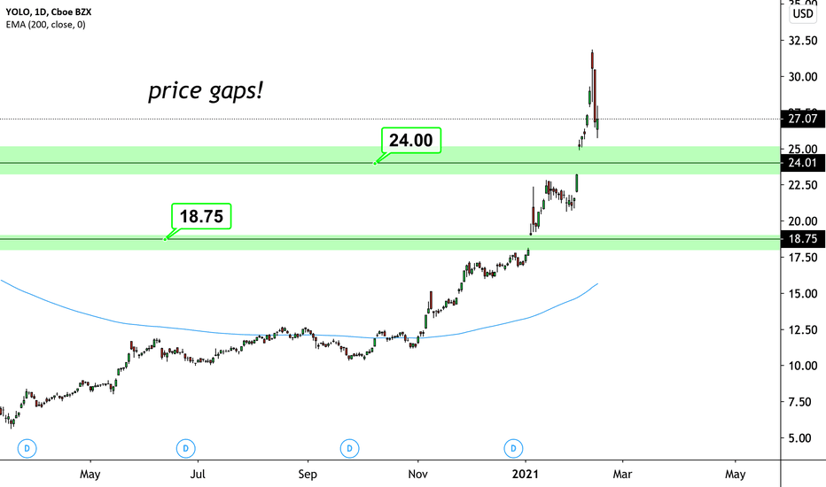 YOLO Stock Fund Price and Chart — AMEXYOLO — TradingView