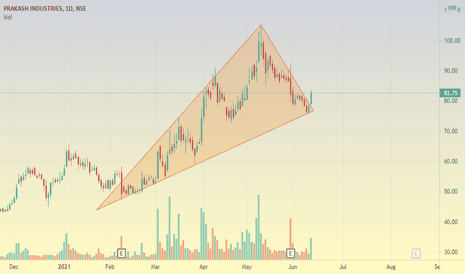 PRAKASH Stock Price and Chart — NSEPRAKASH — TradingView
