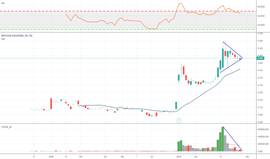 OILS Stock Price and Chart — CSEOILS — TradingView