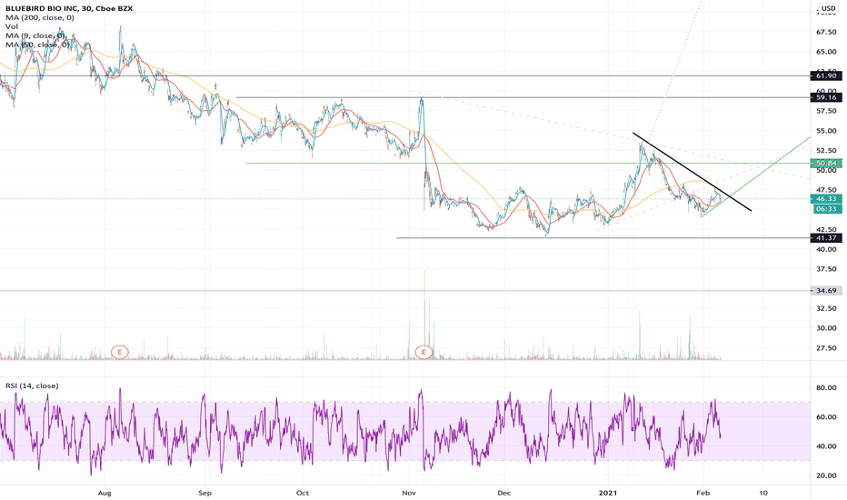 BLUE Stock Price and Chart — NASDAQBLUE — TradingView