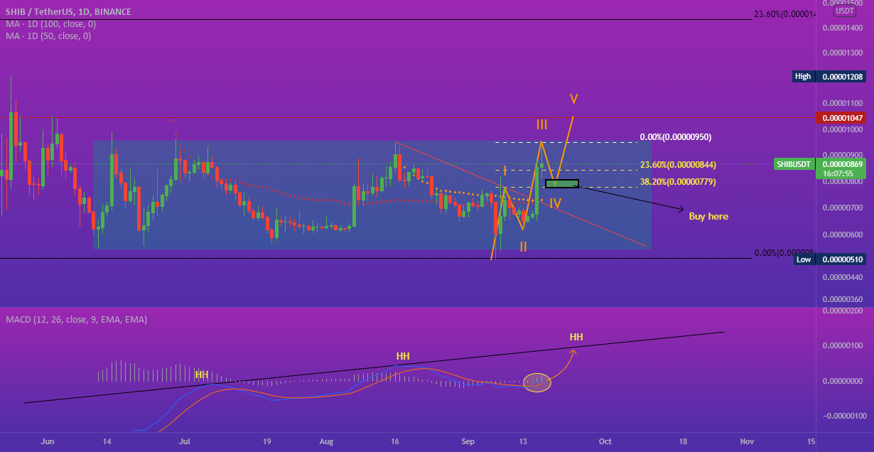 DOGE, SHIB continue trend of spikes following Musk tweets
