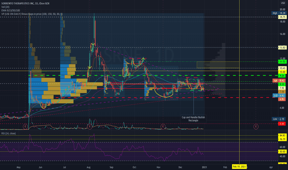 SRNE Stock Price and Chart — NASDAQSRNE — TradingView