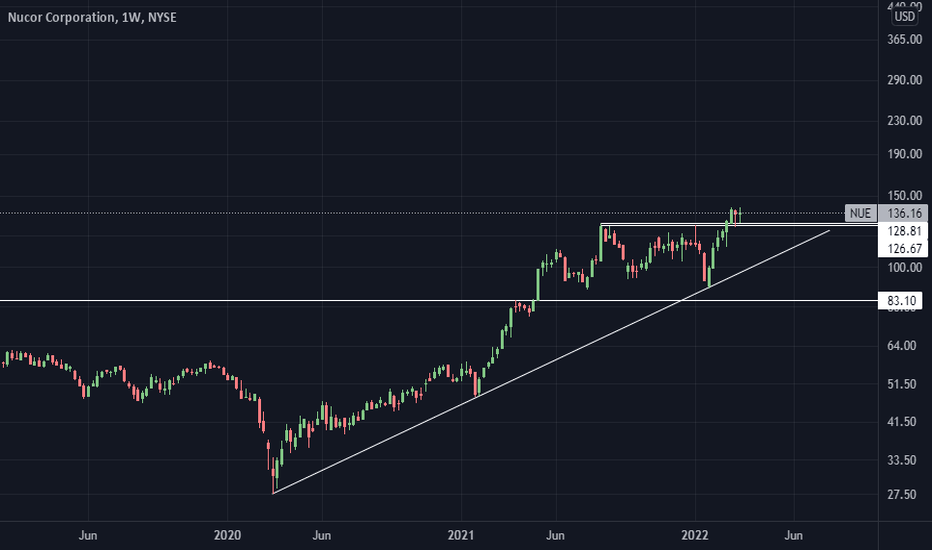 NUE Stock Price and Chart — NYSENUE — TradingView