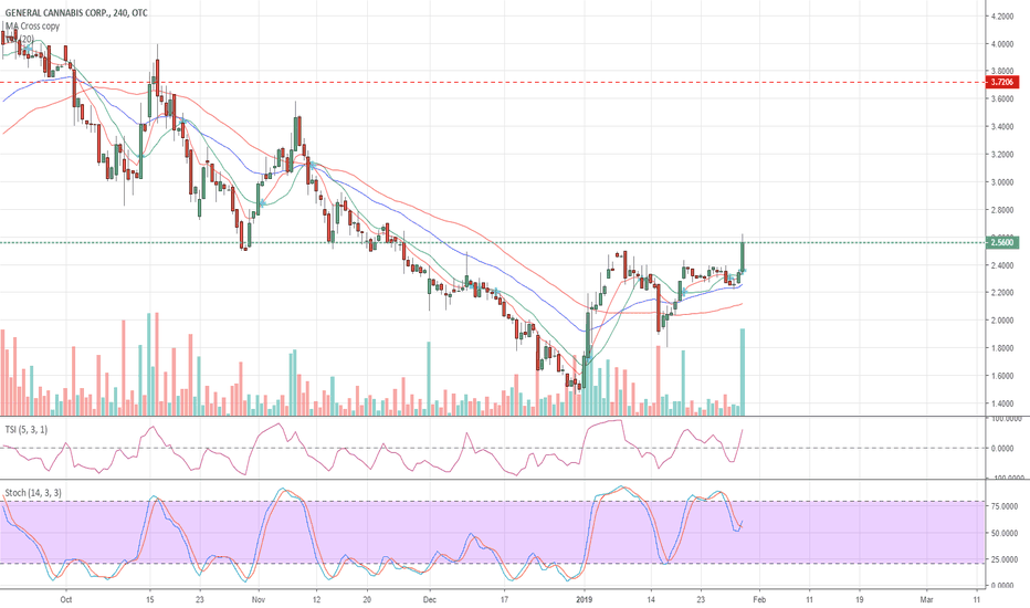 CANN Stock Price and Chart — OTCCANN — TradingView