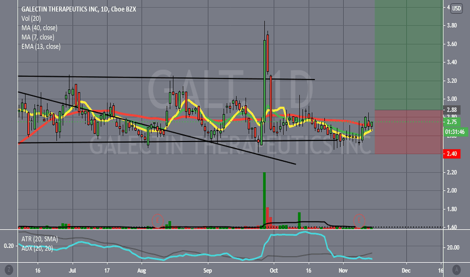 GALT Stock Price and Chart — NASDAQGALT — TradingView