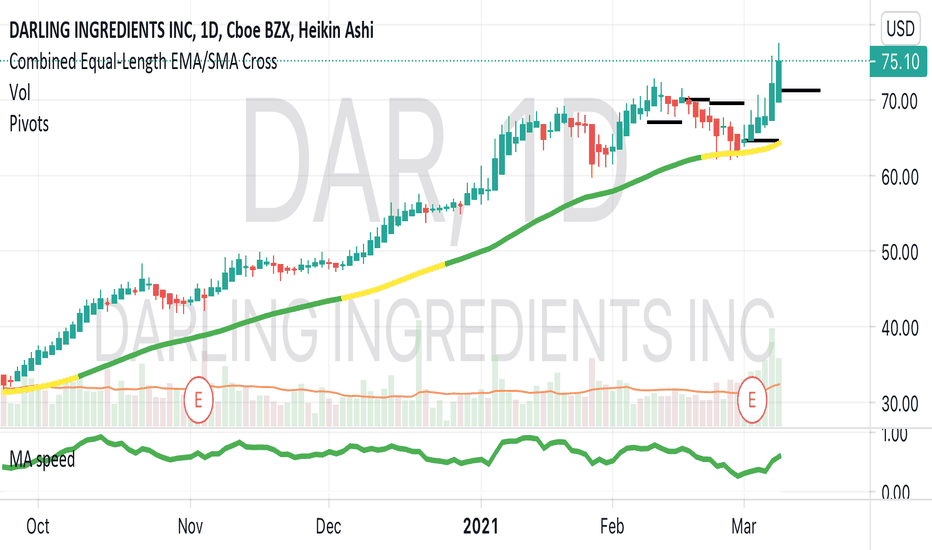 DAR Stock Price and Chart — NYSEDAR — TradingView