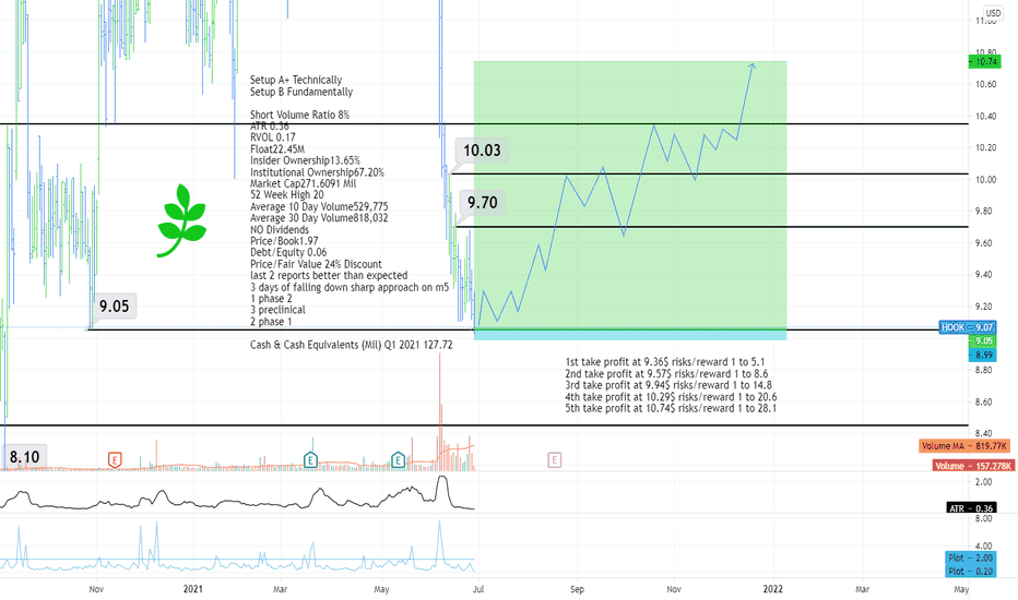 HOOK Stock Price and Chart — NASDAQHOOK — TradingView