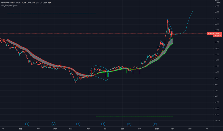 YOLO Stock Fund Price and Chart — AMEXYOLO — TradingView