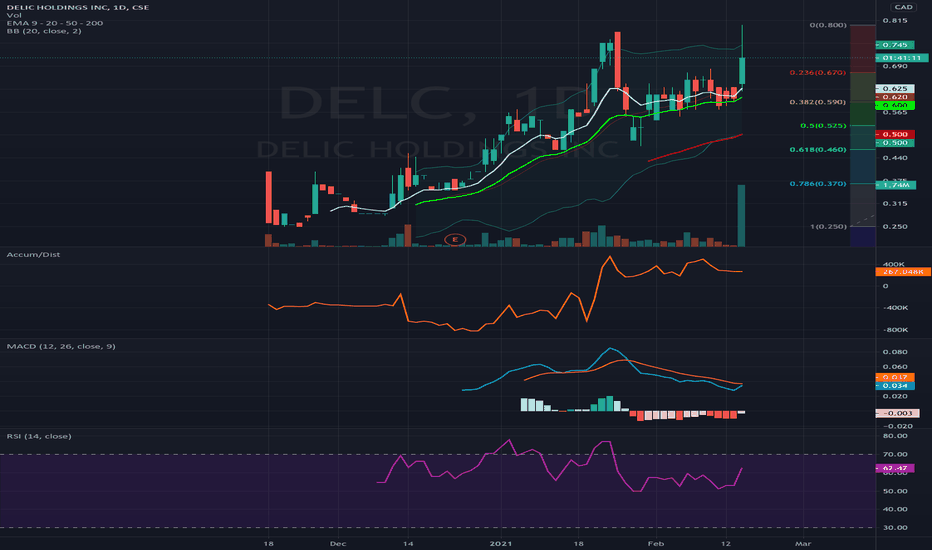 DELC Stock Price and Chart — CSEDELC — TradingView
