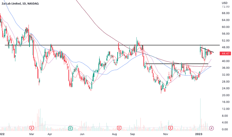 ZLAB Stock Price and Chart — NASDAQZLAB — TradingView