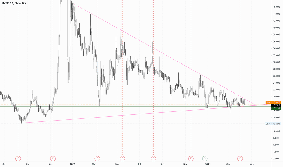 YMTX Stock Price and Chart — NASDAQYMTX — TradingView