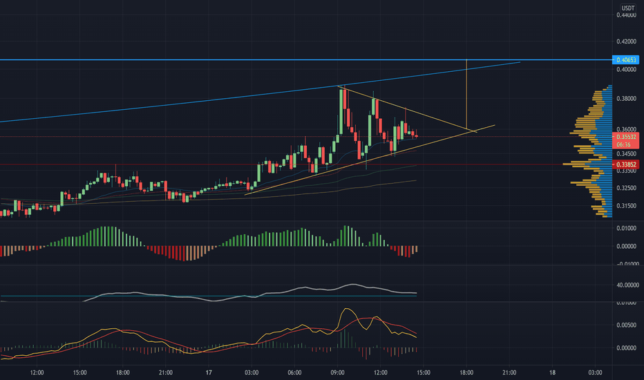 TradingView Trading Platform capabilities and features