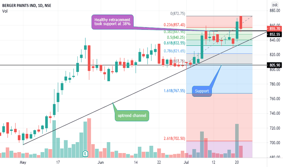 BERGEPAINT Stock Price and Chart — NSEBERGEPAINT — TradingView — India
