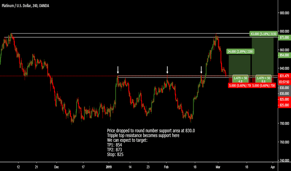 Tradingview Email & Phone of top management.