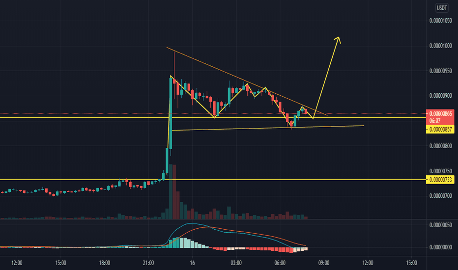 Chart dan Kutipan SHIBUSDT — TradingView