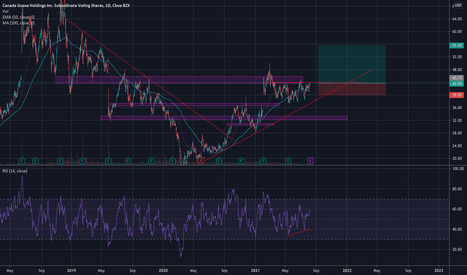GOOS Stock Price and Chart — NYSEGOOS — TradingView