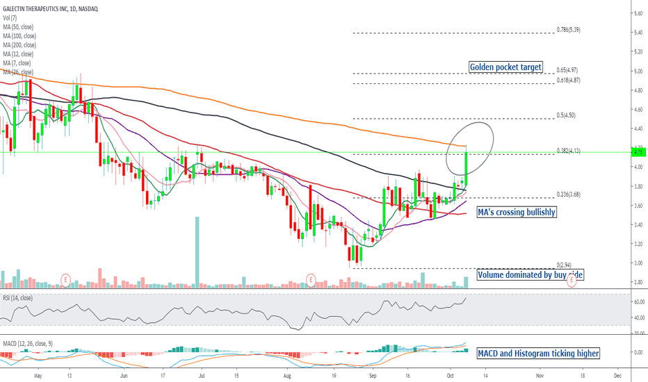 GALT Stock Price and Chart — NASDAQGALT — TradingView