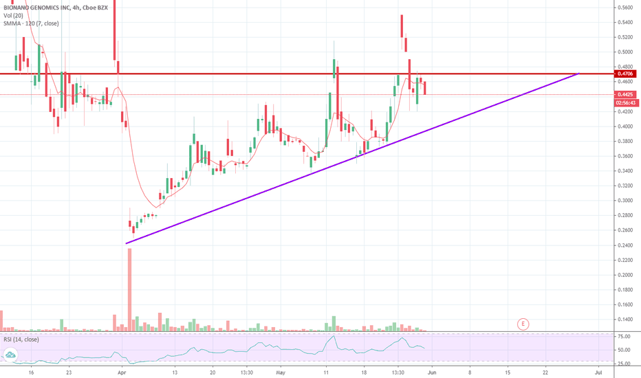BNGO Stock Price and Chart — NASDAQBNGO — TradingView