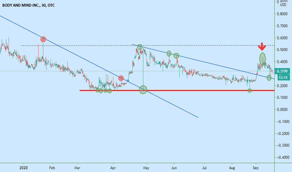 BAMM Stock Price and Chart — CSEBAMM — TradingView