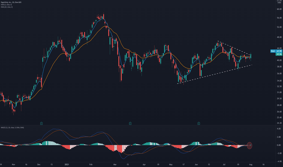 PDS Stock Price and Chart — NYSEPDS — TradingView