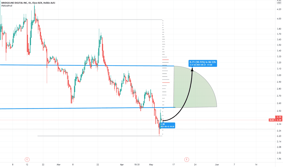 blin stock buy or sell christoperhattman