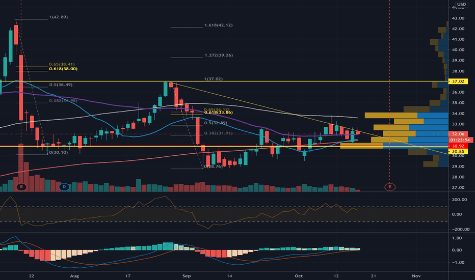 PETS Stock Price and Chart — NASDAQPETS — TradingView