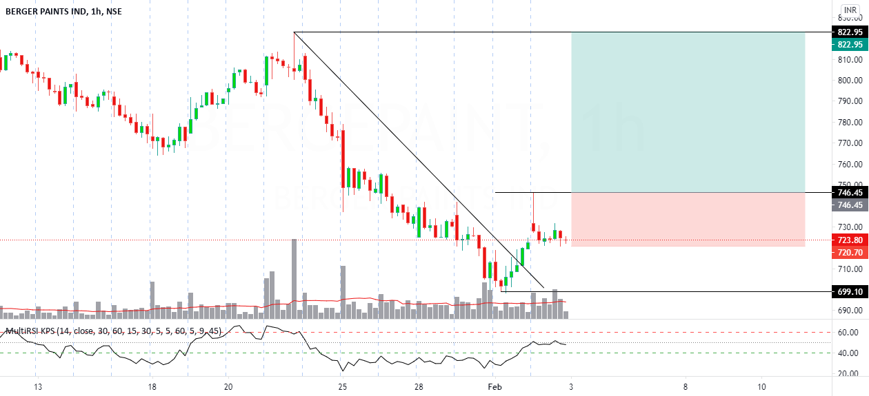 berger paint long for NSEBERGEPAINT by UnknownUnicorn6733881