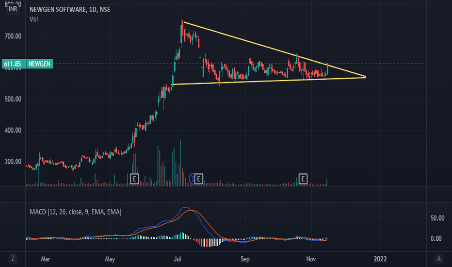 NEWGEN Stock Price and Chart — NSENEWGEN — TradingView — India