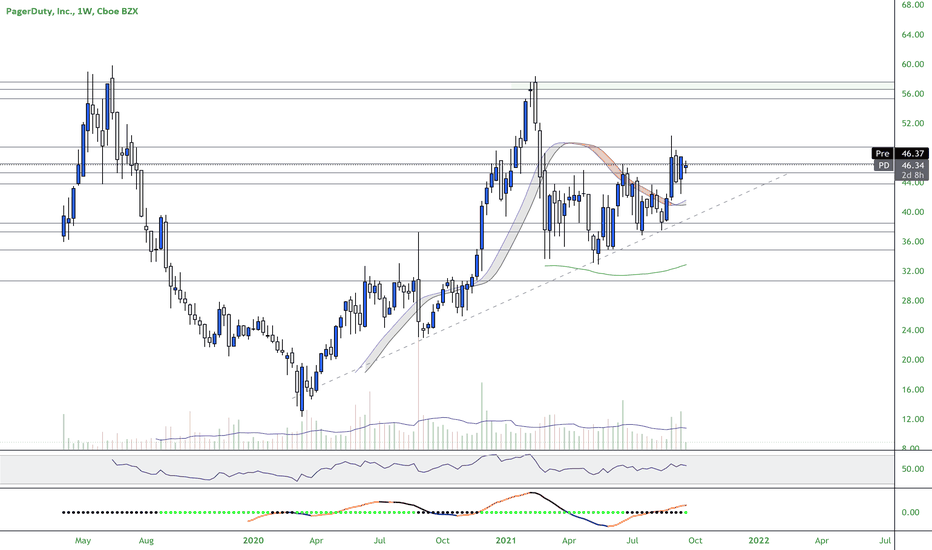 PD Stock Price and Chart — NYSEPD — TradingView