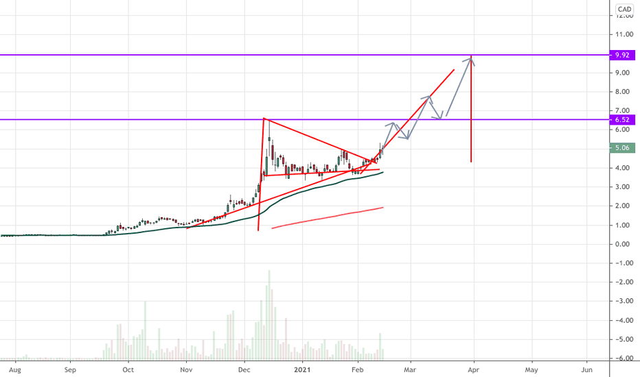 Mmed Stock Chart KRMD Repro Med Systems Inc Stock