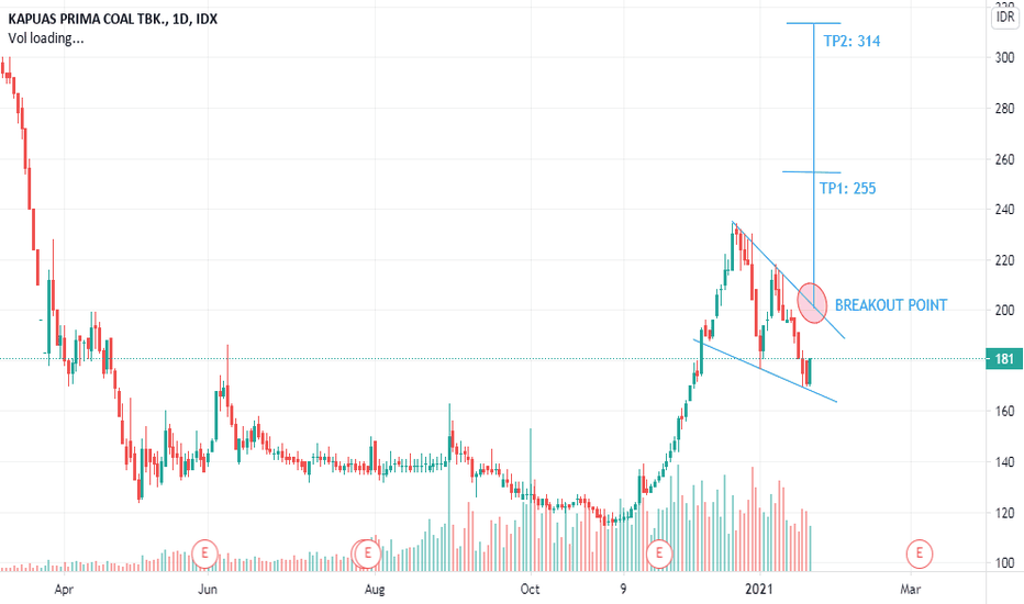 ZINC Stock Price and Chart — IDXZINC — TradingView