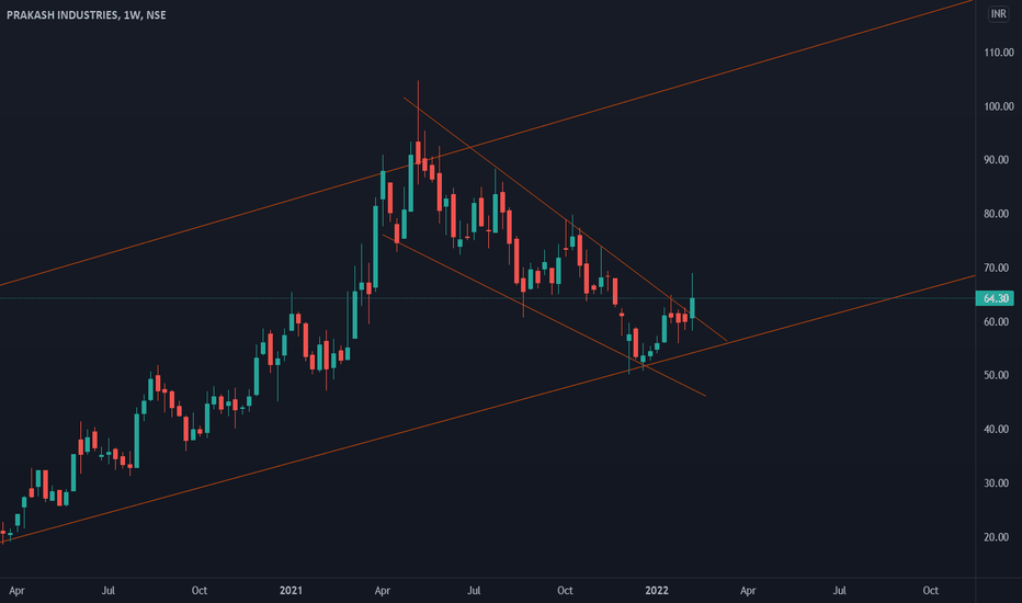 PRAKASH Stock Price and Chart — NSEPRAKASH — TradingView