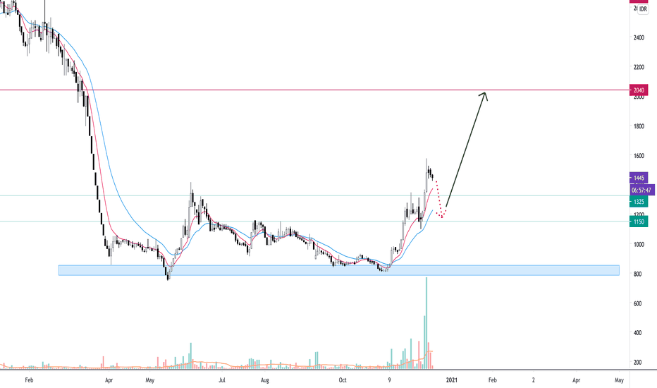 BIRD Stock Price and Chart — IDXBIRD — TradingView