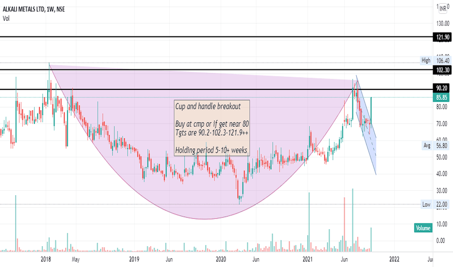 ALKALI Stock Price and Chart — NSEALKALI — TradingView — India