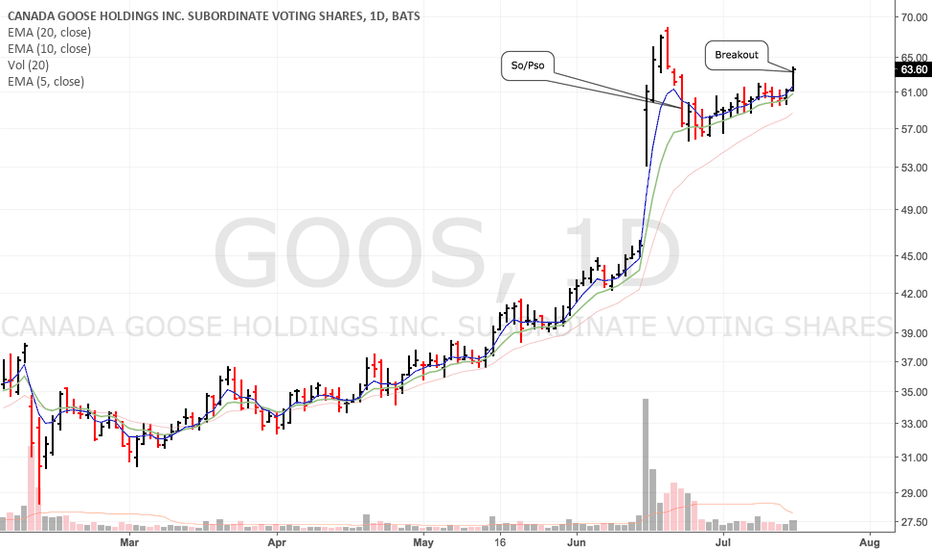 GOOS Stock Price and Chart — TradingView